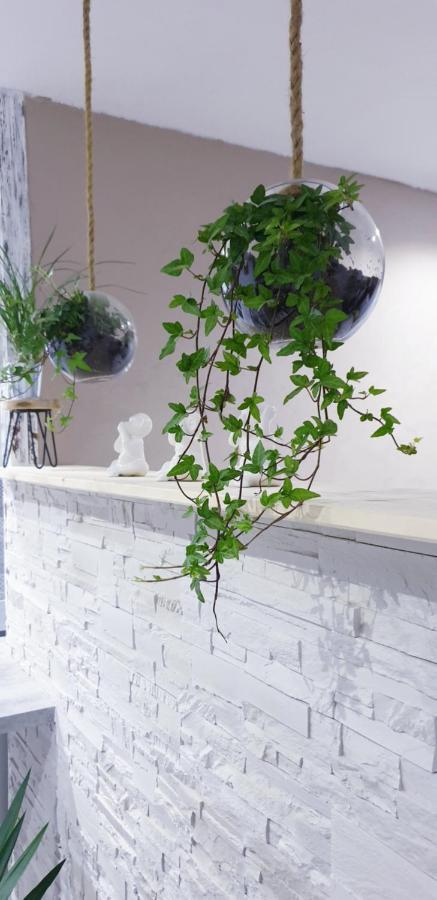 Studio Zen Et Cosy, Neuf En Pleine Ville Saint-Claude Exteriér fotografie